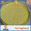 High Purity Green Tea Extract 98% Tea Polyphenols